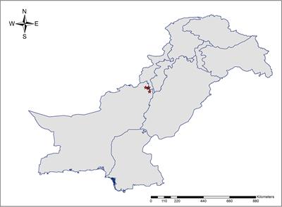 Allium sulaimanicum: A new Allium species and section from Pakistan